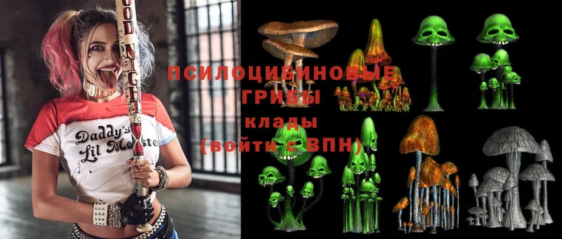 Псилоцибиновые грибы Magic Shrooms  закладки  Собинка 